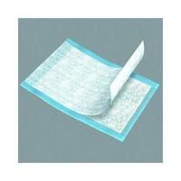 Tena Underpad, Regular, 23" X 36", 25/Pk