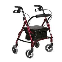 Elderly Walker Disabled Walker Auxiliary Walker