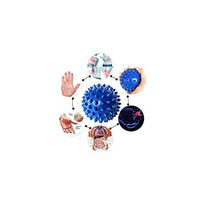 Massage Ball Myofascial Release Fitness Peanut Massage Ball Fascia Massager Roller Pilates Yoga Gym Relaxing Exercise Equipment Fitness Balls,Blue