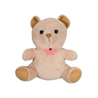 Xtreme Life 720P Teddy Bear - SC7002HD