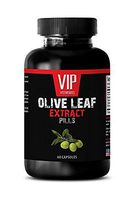 antioxidant Booster - Olive Leaf Extract 500MG - Olive Extract Leaf - 1 Bottle (60 Capsules)
