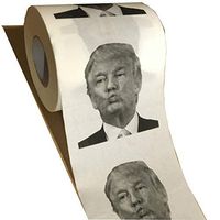 Silky & Smooth Soft Premium 3-Ply Toilet Paper, Home & Kitchen Toilet Tissue, Thick, soft and environmentally friendly