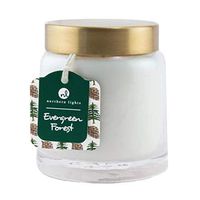 Northern Lights Essentials Jar - Evergreen Forest, 10 oz