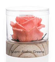 Sustainable Home Scent 12oz A Real Fragrance Flower with Lasting abilities Similar to Scented Candle, Wax and Aroma Diffuser (Peach/Fragrance Arabic Greens)