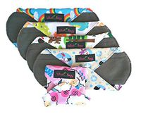 Wiseology 5 Piece Light Bamboo Charcoal Reusable Washable Menstrual Incontinence Cloth Liners Mixed Novelty Winter Prints