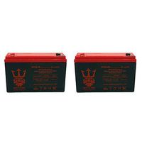 6V 12AH Battery Replaces 10ah Enduring 3FM10 T2, 3-FM-10 T2 by Neptune - 2 Pack