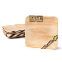 Naturally Chic Compostable Biodegradable Disposable Plates - Palm Leaf 6” Square Dinnerware Set - Eco Friendly Alternative - Party, Wedding, Event Plates (25 Pack)