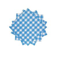WallyE Gingham Paper Napkins, Blue and White Tartan, Great for BBQ Themed Party, Picnic and Farm Party 20 Pack
