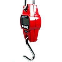 ZYY Electronic Scale 300kg Crane Metal Casing Industrial Portable Hook 30mm Subtitle Display Red