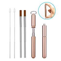 Portable Reusable Drinking Straws - Telescopic Stainless Steel Metal Straw with Aluminum Case & Cleaning Brush (2 Pack, Rose Gold)