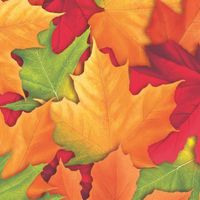Fall Breeze Beverage Napkins 16 Per Pack