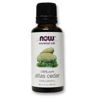 New 2007 products Now Foods Atlas Cedar Oil - 1 Fl Oz