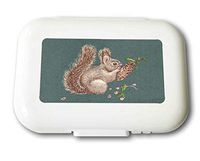 Small Weekly Pill Case - Cute Squirrel Eating Nuts Travel Pill Organizer Box for Travel Safe Plastic Material 7 Small and 1 Large-Compartment