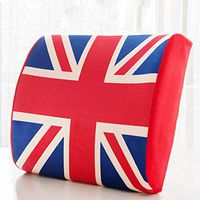 SPLY DTEM Memory Foam Back Support Pad - Designed for Back Pain Relief - Waist Pillow with Advanced Adjustable Strap - Hypoallergenic Ventilation - Relieves Lumbar Pain.