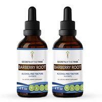 Barberry Root Alcohol-Free Tincture Extract, Organic Barberry (Berberis Vulgaris) Dried Root Bark (2x4 fl oz)