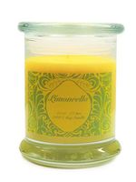 S&M Candle Factory Limoncello Scented Candle Soy Wax Candle (Green Label)