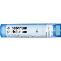 Eupatorium Perfoliatum 6C Homeopathic Medicine for Flu Symptoms (80 Pellets)