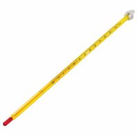 12" Laboratory Thermometer