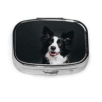 Young Border Collie Smiles Happy Dog Animals Wildlife 2 Slots Medicine Box Square Metal Pill Box Small Medicine Case Vitamin Box for Travel Outdoors