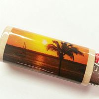 Sunset Tropical Lighter Case Holder Sleeve Cover Fits Bic Lighters