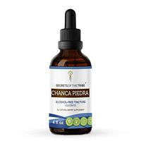 Chanca Piedra Alcohol-Free Tincture Extract, Organic Chanca Piedra (Phyllanthus niruri) Dried Herb Tincture Supplement (4 FL OZ)