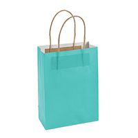 Fun Express - Medium Mint Craft Bags for Wedding - Party Supplies - Bags - Paper Gift W & Handles - Wedding - 12 Pieces