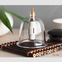 Cupping Therapy Sets Different Sizes - relieves Pain and Reduces Cellulite Lymphatic Drainage Anti-Aging 10 cans