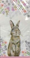 Northeast Home 2-ply Guest Towels Buffet Hostess Paper Napkins, 20-Count, Easter Spring (Brown Bunny and Flowers)