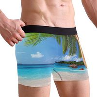 WXLIFE Tropical Summer Beach Palm Tree Boxer Briefs Men's Underwear for Men Boy