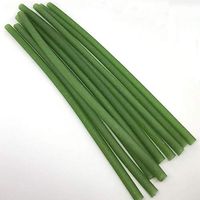 Biodegradable Rice Straws - 100% Natural Organic Eco Friendly Disposable Drinking Straws - Perfect Alternative to Plastic, Paper, Metal, Glass & Bamboo Straws (Green, 6.5mm)