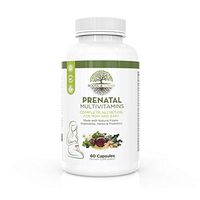 Roots and Land All in One Prenatal Multivitamins - Natural Folate - Made with Organic Vegetable and Herbal Blend- Probiotics and Digestive Enzymes - Vegetarian -60 Capsules