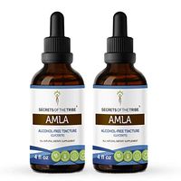 Amla Alcohol-Free Liquid Extract, Organic Amla (Emblica Officinalis) Dried Fruit Tincture Supplement 2x4 oz