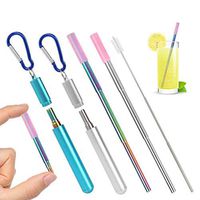 2 Packs Telescopic Metal Straws Collapsible with Case/Keychain/Silicone Tip for Hot Beverages Use/Cleaning Brush, Foldable Long Metal Straws for Drinks Portable Reusable (Silver/Rainow)