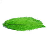 KOLIGHT100pcs Ostrich Feather Green 10"-12" Natural Feathers Wedding, Party,Home,Hairs Decoration