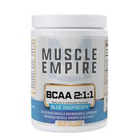 BCAA 2:1:1 Instantized Powder - Amino Acid Muscle Building Block - 500 Grams - Blue Raspberry - Muscle Empire