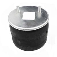 World American WA01-8709C Air Spring (REVERSIBLE SLEEVE)