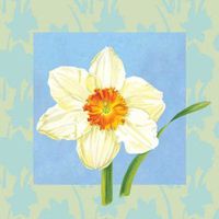 Daffodil Beverage Napkins 18 Per Pack