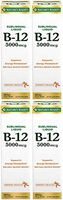 Nature's Bounty B-12 5000 mcg Sublingual Liquid Energy Health, 2 Fl Oz (4 Bottles)