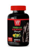 Male libido Enhancement - TRIBULUS TERRESTRIS Maximum Strength - 45% STEROIDAL SAPONINS - tribulus Testosterone Booster - 1 Bottle (100 Capsules)