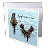 3dRose Duck Formation, Grandparents Day - Greeting Cards, 6 x 6 inches, set of 12 (gc_55081_2)