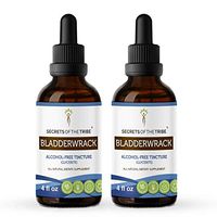 Bladderwrack Tincture Alcohol-Free Liquid Extract, Organic Bladderwrack (Fucus Vesiculosus) Dried Plant (2x4 FL OZ)