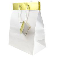 JAM PAPER Gift Bags with Rope Handles - Large - 10 x 13 x 6 - White Pinstripe with Gold Top - Sold Individually