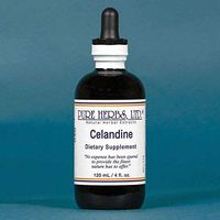 Celandine - 4 OZ (Natural Herbal Extracts)