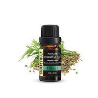 Fennel Essential Oil,100% Pure and Natural Therapeutic Grade Gift Essential Oil Topically Applied in Diffuser, Humidifier, Massage, Skin, Hair Care, Cleaning
