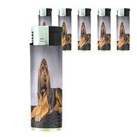 Dog Bloodhound 01 Lighter Set of 5 Pieces