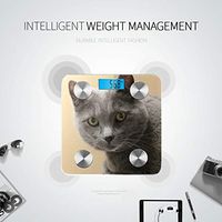 Bluetooth Scales for Body Weight Cat Gray Cat Old Cat Feline Domestic Short Hair Scale for Weight Body Fat Composition Monitor Analyzer with Smartphone App for Body Management-396lbs