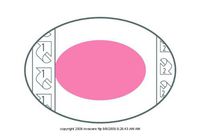 Shapes by PolyMem Dressings, Polymem Shapes Drs Fm 3.5X5in, (1 BOX, 15 EACH)