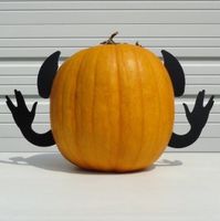Frog Studio Home Pumpkin Vulcan Kit