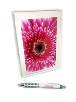 Floral Photo Notecard Set (Gerbera Daisy Collection)