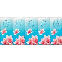 Health & Beauty Pocket Tissues 10 Piece x 10 Pack